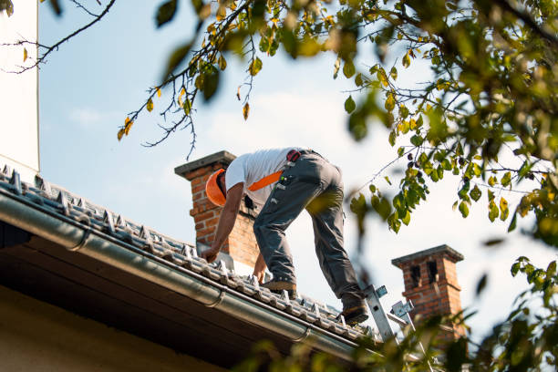 Roofing repair and installation